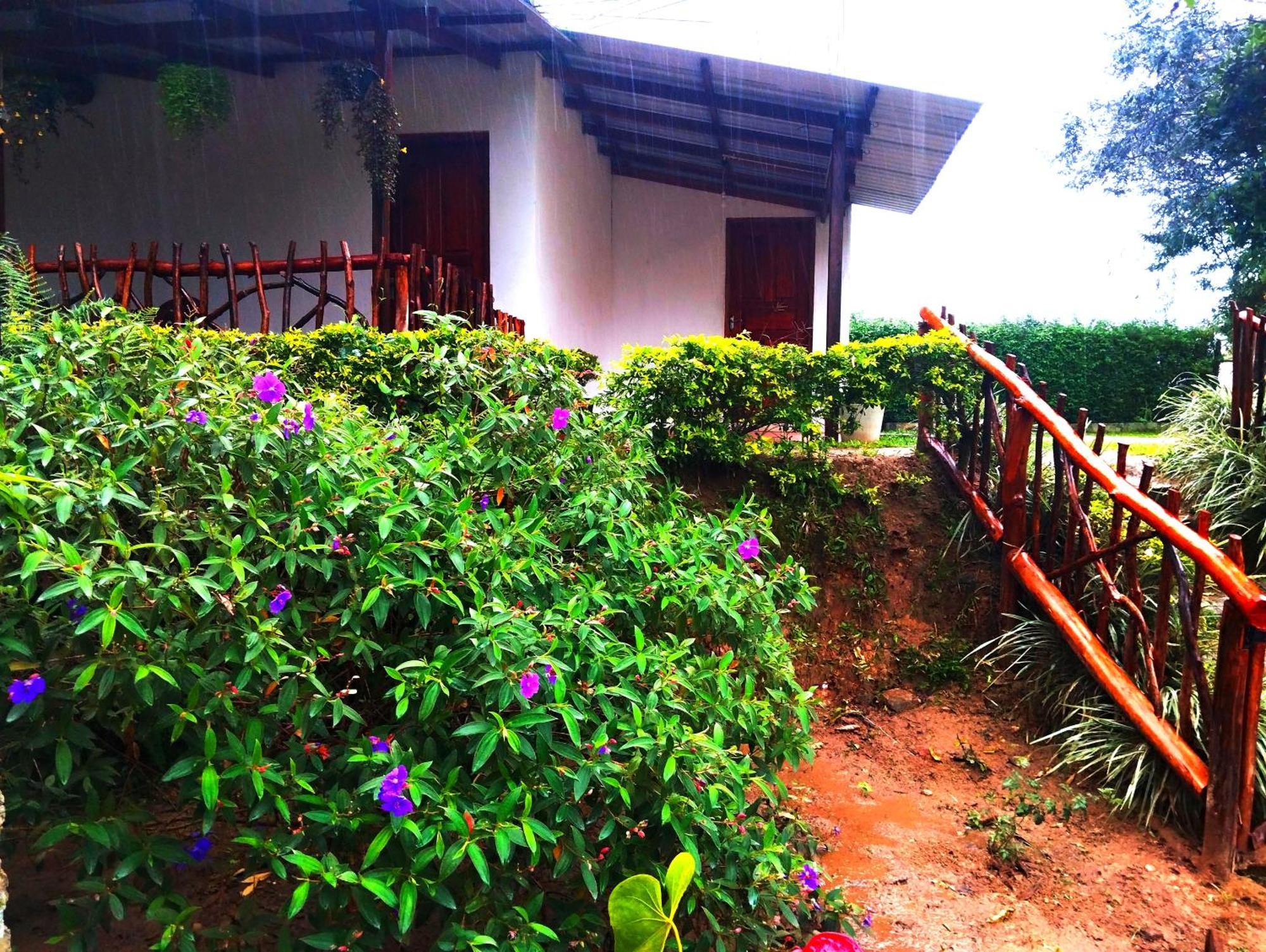 Ella Hotel Upper Hill ภายนอก รูปภาพ