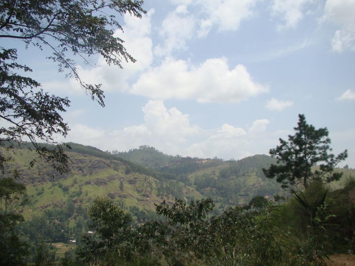 Ella Hotel Upper Hill ภายนอก รูปภาพ