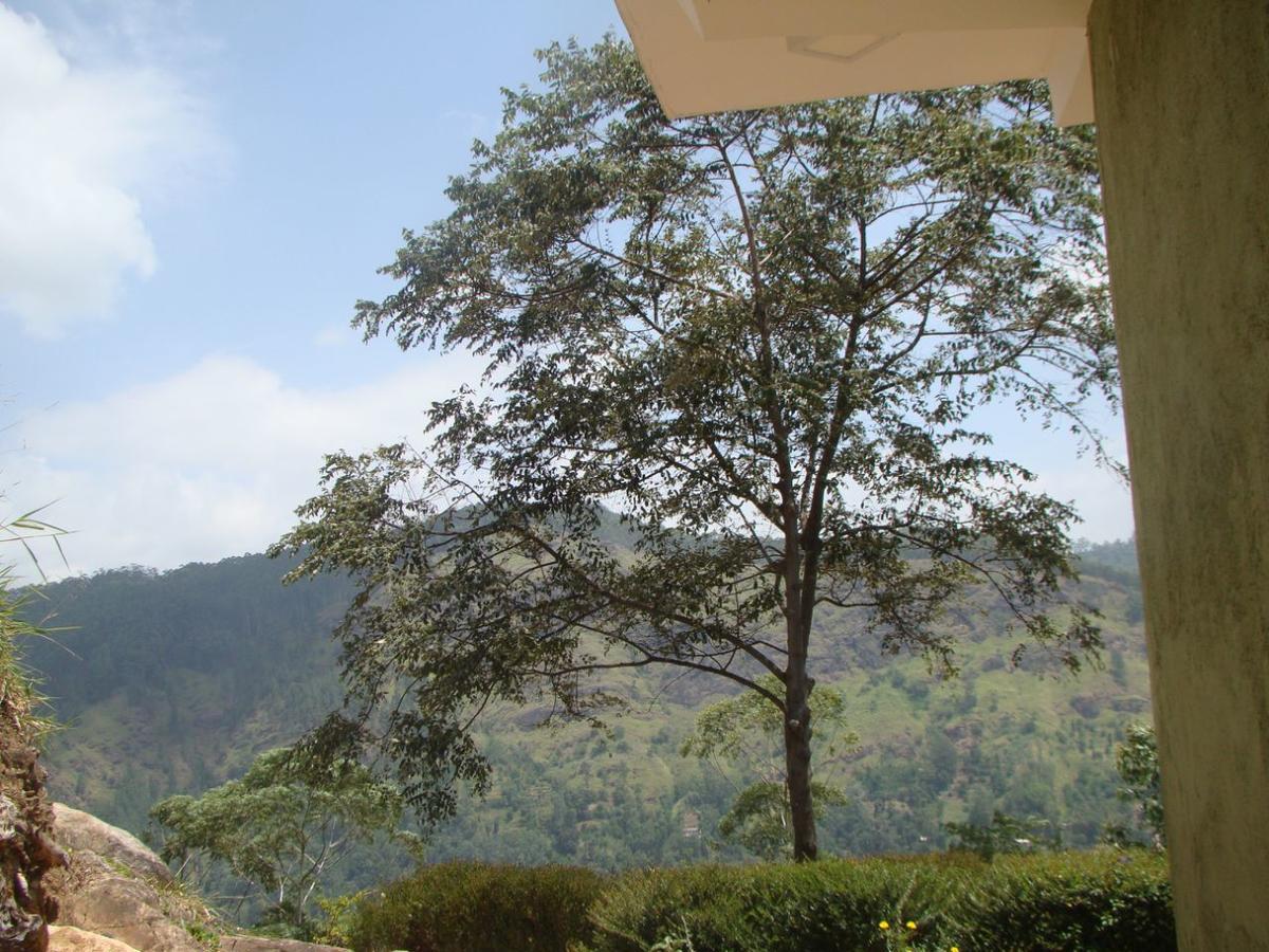 Ella Hotel Upper Hill ภายนอก รูปภาพ