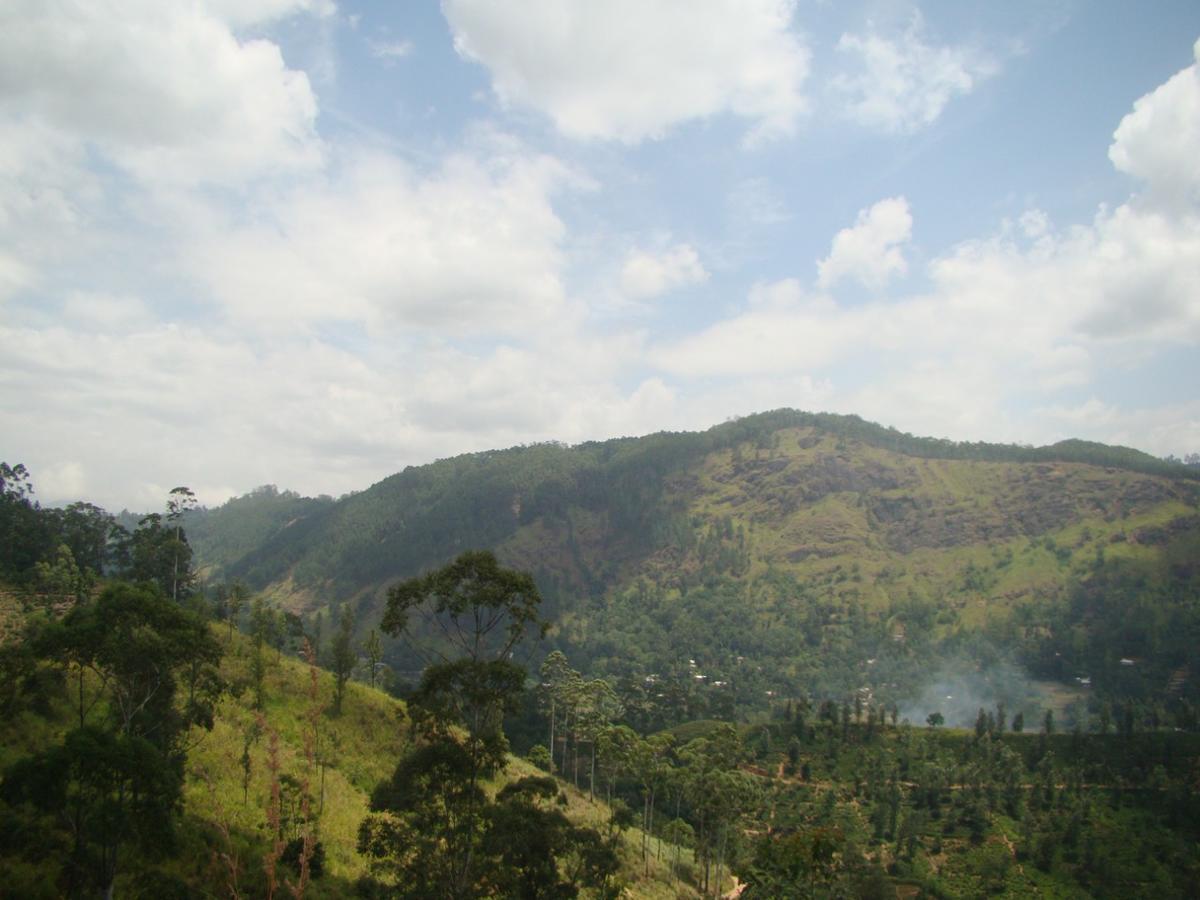 Ella Hotel Upper Hill ภายนอก รูปภาพ