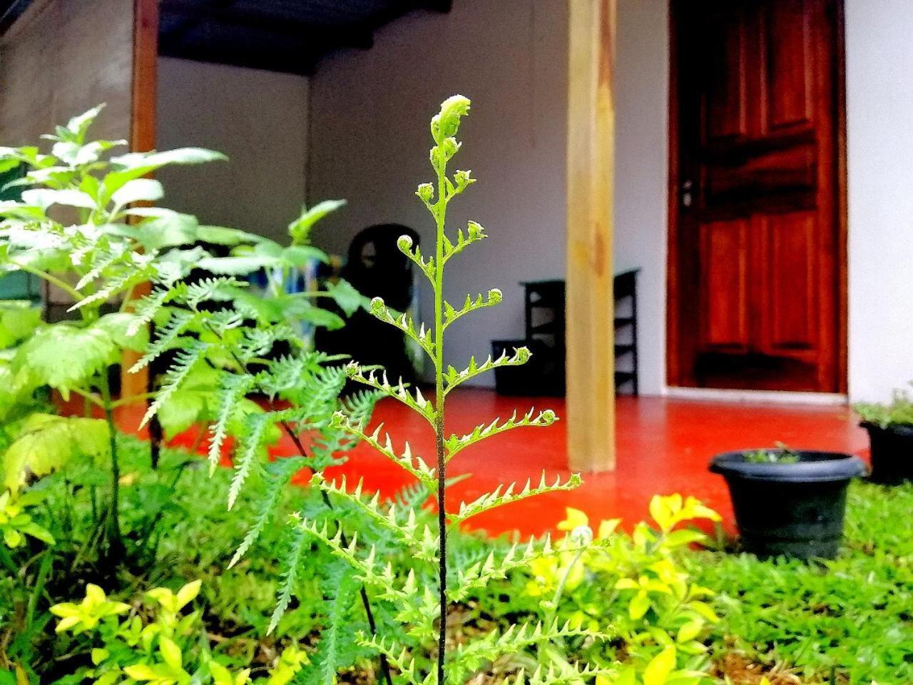 Ella Hotel Upper Hill ภายนอก รูปภาพ